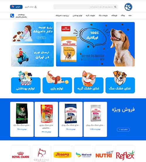 طراحی سایت در قائمشهر